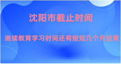 沈阳市继续教育网上学习的培训入口 沈阳市继续教育网上学习的培训入口